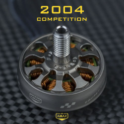 Brushless Motor 2004 Competition